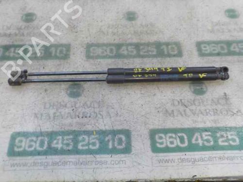 Used Tailgate lift support SKODA FABIA II (542) 1.2 (60 hp) 14284555