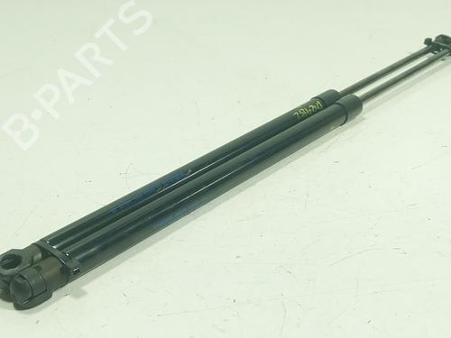 tailgate-lift-support-nissan-juke-f15-2010-2011-2012-2013-2014-2015-2016-2017-2018-2019-25031438 main image