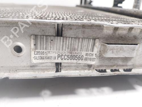 Water radiator LAND ROVER RANGE ROVER SPORT I (L320) 2.7 D 4x4 | BP16195278M31