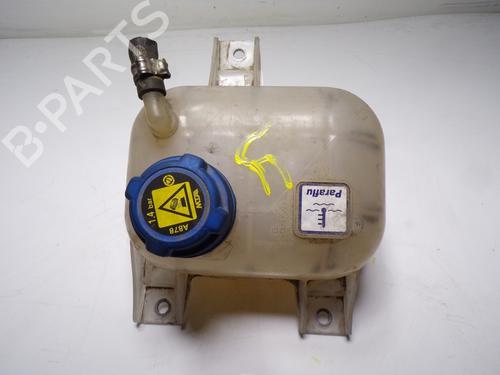 Expansion tank FIAT DOBLO Cargo (263_)  | BP13365189C120 