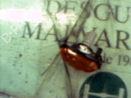  - Image 2