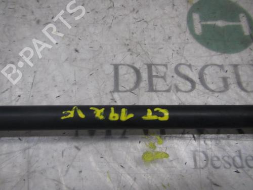Tailgate lift support FORD FOCUS C-MAX (DM2) 2.0 TDCi | BP14275397C138 