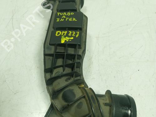 Used Pipe Pipe PEUGEOT 2008 I (CU_) 1.5 BlueHDI 100 (102 hp) 16664708 16664708