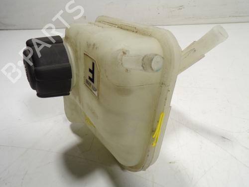 Used Expansion tank NISSAN QASHQAI I (J10, NJ10) [2006-2015]  13294761