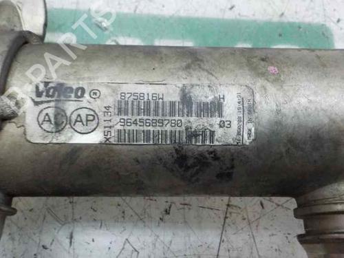 Egr FIAT SCUDO Bus (270_, 272_) 2.0 D Multijet | BP14283366M69 