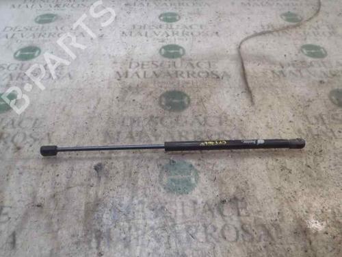 Used Tailgate lift support OPEL SIGNUM Hatchback (Z03) 3.0 V6 CDTI (F48) (177 hp) 14275550