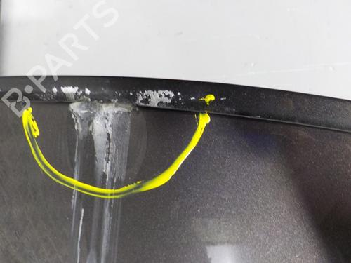 Left rear door BMW 5 (F10) 520 d | BP6901754C4 