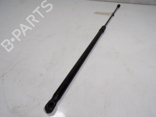Hood lift support VW GOLF VII (5G1, BQ1, BE1, BE2) 1.0 TSI | BP14288004C139 