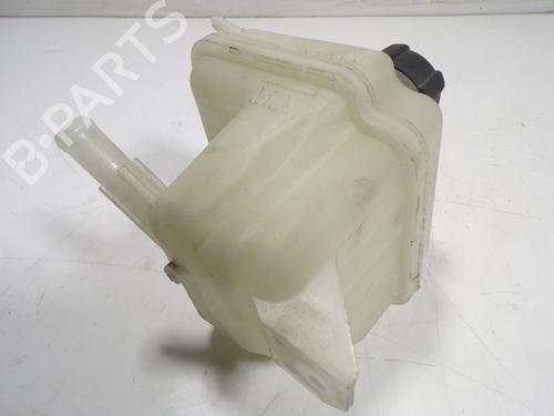 Expansion tank NISSAN QASHQAI I (J10, NJ10)  | BP13294761C120
