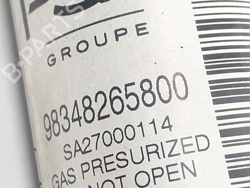 Left rear shock absorber PEUGEOT 208 II (UB_, UP_, UW_, UJ_) e-208 | BP25031433M18 