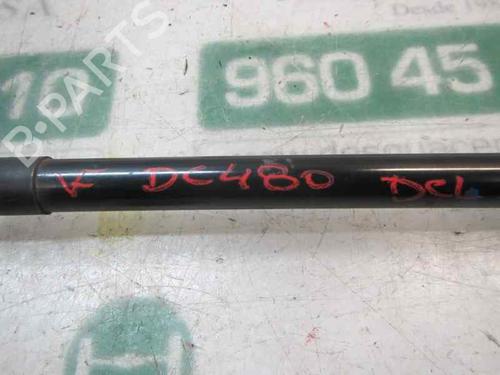 Hood lift support RENAULT MEGANE III Hatchback (BZ0/1_, B3_) 1.5 dCi (BZ0C) | BP14282738C139