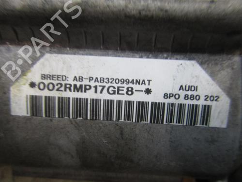 Passenger airbag AUDI A3 (8P1) 2.0 TDI 16V | BP3832841C10 