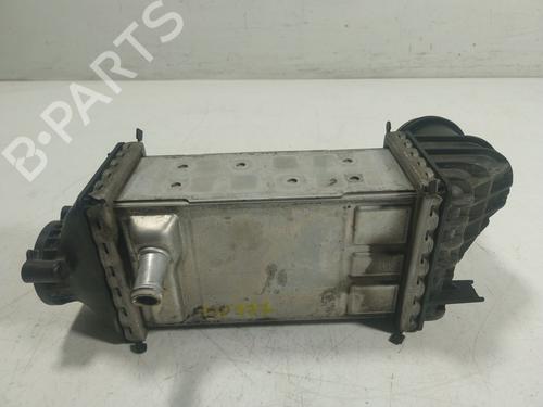 Intercooler VW GOLF VIII (CD1, DA1) | BP20146931M30