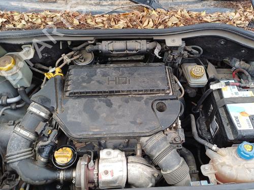 - Image 6