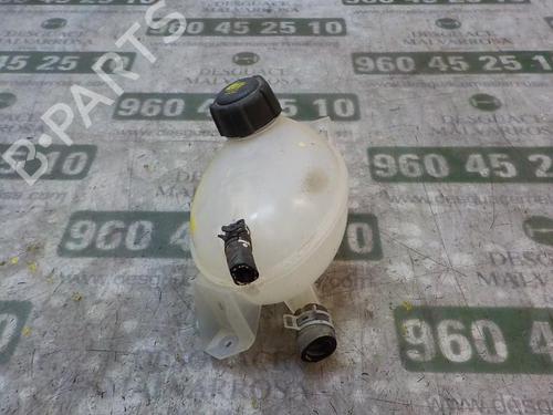 Expansion tank DACIA SANDERO II 1.5 dCi 75 / Blue dCi 75 (B8JW, B8M4, B8AH, B8M7, B8M6) | BP3863620C120 