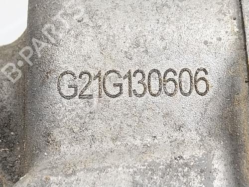 Left front steering knuckle HYUNDAI IONIQ 5 (NE)  | BP27315306M25 