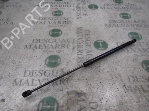 Used Tailgate lift support Tailgate lift support FORD FIESTA VI (CB1, CCN) 1.25 (82 hp) 14274867 14274867