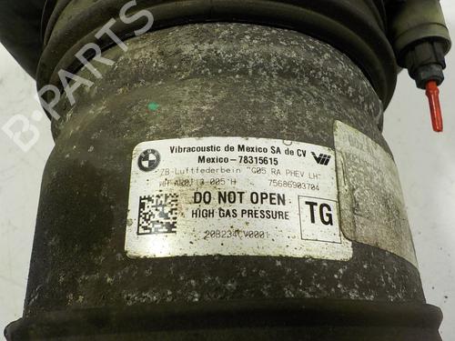 Left rear shock absorber BMW X5 (G05, F95) xDrive 30 d Mild-Hybrid | BP13365078M18 
