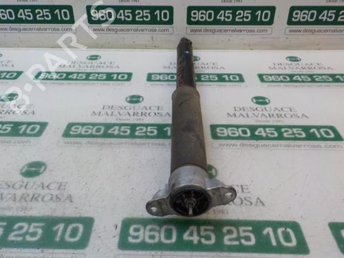 Left rear shock absorber FORD KUGA II (DM2) [2012-2024]  3988194