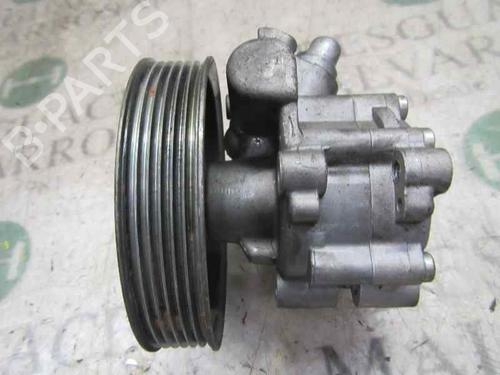 Steering pump FIAT BRAVO II (198_) 1.6 D Multijet (198AXH1B) (105 hp) 4011945