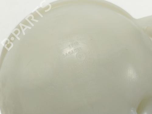 Expansion tank BMW X7 (G07) xDrive 40 d Mild-Hybrid | BP30196461C120 