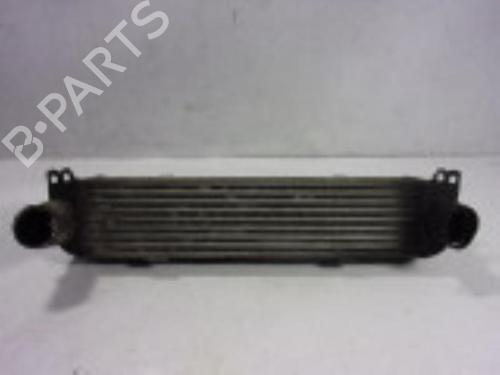 Intercooler radiateur LAND ROVER RANGE ROVER SPORT I (L320) 2.7 D 4x4 (190 hp) 10555469