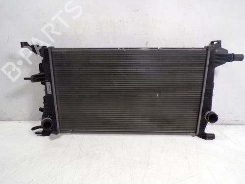 Used Water radiator Water radiator RENAULT MEGANE III Coupe (DZ0/1_) [2008-2016] 8853862 8853862