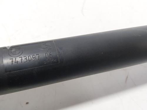 Tailgate lift support BMW X7 (G07) xDrive 40 d Mild-Hybrid | BP30609639C138