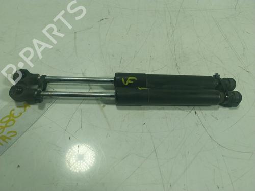 Used Hood lift support RENAULT ZOE (BFM_) [2012-2025]  17979142