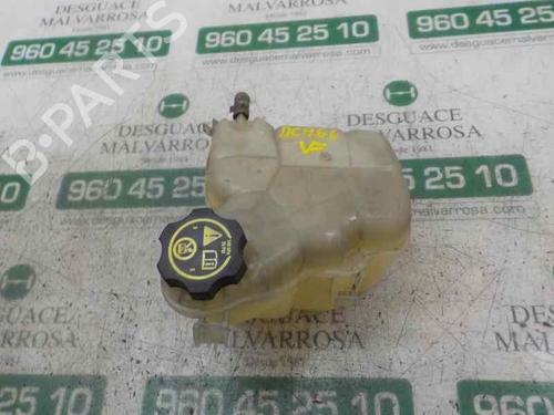 Used Expansion tank OPEL ZAFIRA TOURER C (P12) [2011-2025]  4803406