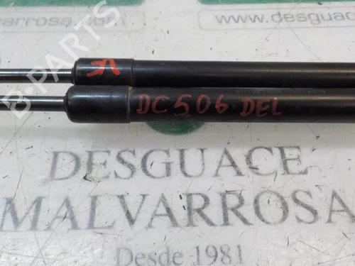 Tailgate lift support BMW 1 (E87)  | BP14283088C138 