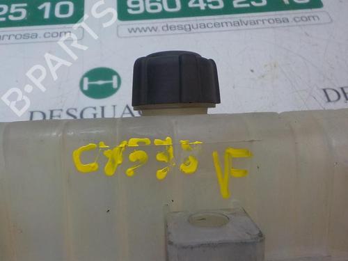 Expansion tank RENAULT CLIO III (BR0/1, CR0/1)  | BP3866478C120 