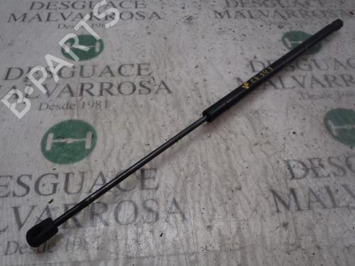 Used Tailgate lift support Tailgate lift support FIAT QUBO (225_) 1.3 D Multijet (225CXB1A, 225AXB1A, 225CXB11, 225AXB11,... (75 hp) 14272913 14272913