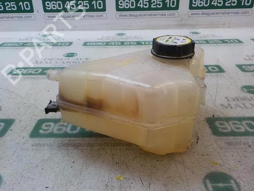 Expansion tank FORD FIESTA VI (CB1, CCN) 1.25 | BP3872521C120
