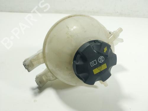 Used Expansion tank BMW X3 (G01, F97, G08) xDrive 20 d Mild-Hybrid (190 hp) 22899264