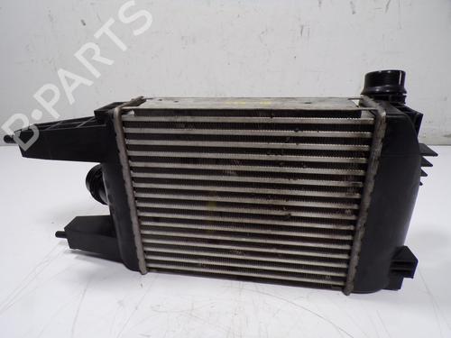 Intercooler NISSAN JUKE (F15) 1.2 DIG-T | BP15407078M30 