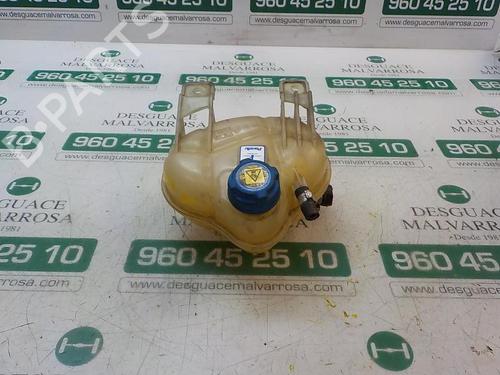 Used Expansion tank FIAT GRANDE PUNTO (199_) 1.3 D Multijet (199.AXD11, 199.AXD1A, 199.AXD1B,... (90 hp) 3865684