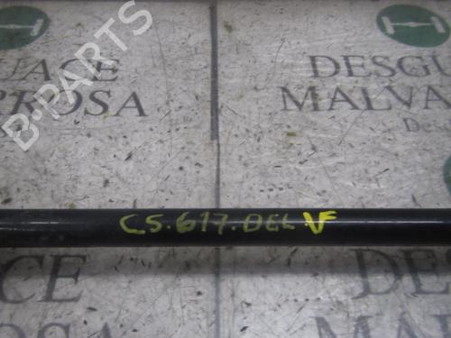 Anti roll bar RENAULT LAGUNA II (BG0/1_)  | BP3830063M96 