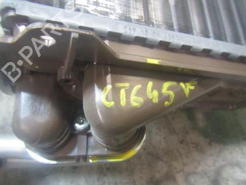 Heater matrix DACIA SANDERO  | BP3832405M63 