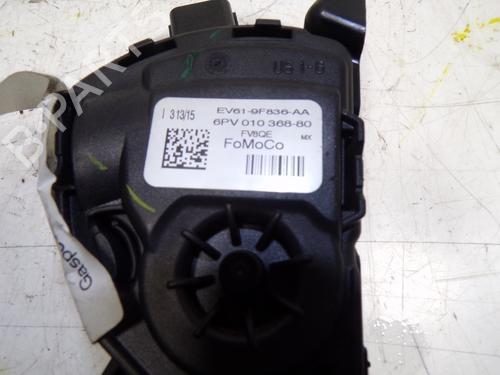 Pedal FORD FOCUS III  | BP8818924I4 