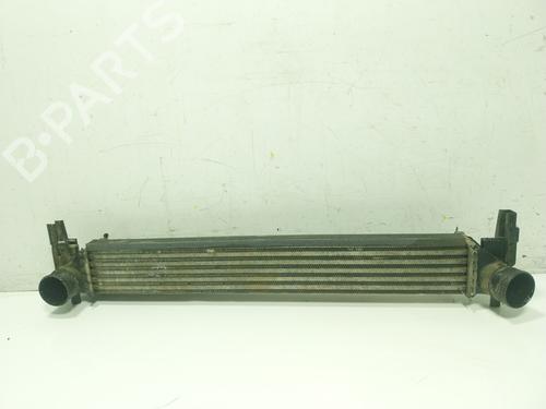Intercooler VW POLO V (6R1, 6C1) 1.6 TDI (90 hp) 30609608