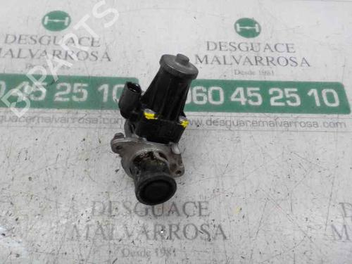 Used Egr Egr FIAT FIORINO Box Body/MPV (225_) 1.3 D Multijet (225BXD1A, 225BXB1A, 225BXB11) (75 hp) 4624196 4624196