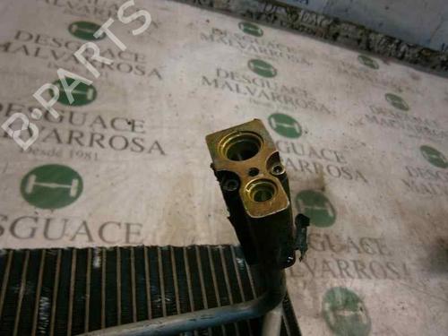 Air conditioning evaporator RENAULT MEGANE I (BA0/1_) 1.9 D Eco (BA0A, BA0U, BA0R) | BP11645811M109