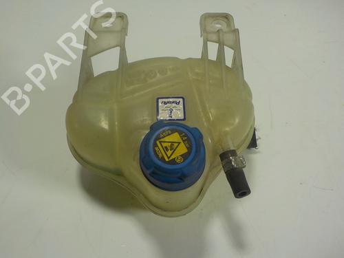 Used Expansion tank FIAT PUNTO EVO (199_) 1.3 D Multijet (199AXC1A, 199BXC1A, 199AXT1A, 199BXT1A) (75 hp) 11094808