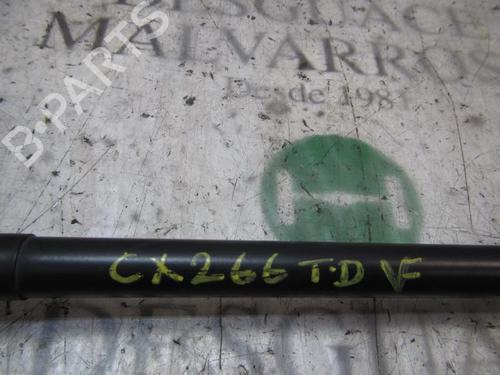 Tailgate lift support BMW X5 (E53) 3.0 d | BP14277487C138 