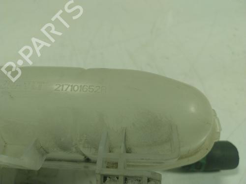 Expansion tank RENAULT ZOE (BFM_)  | BP17920450C120