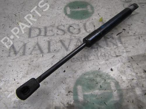 Used Hood lift support Hood lift support RENAULT SCÉNIC III (JZ0/1_) 1.5 dCi (106 hp) 14274574 14274574