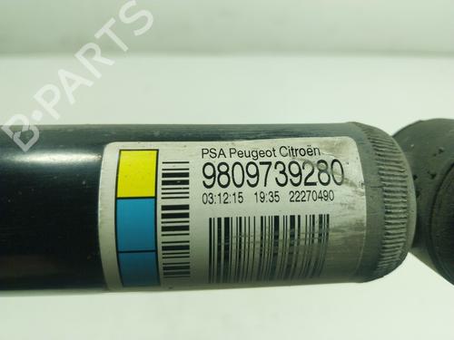 BP16821915M19 | Right rear shock absorber CITROËN C4 CACTUS 1.6 BlueHDi 100 BP16821915M19