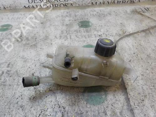Expansion tank RENAULT MEGANE III Hatchback (BZ0/1_, B3_)  | BP3998066C120 