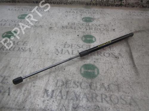 Used Tailgate lift support FORD FIESTA VI (CB1, CCN) 1.5 TDCi (75 hp) 14274605